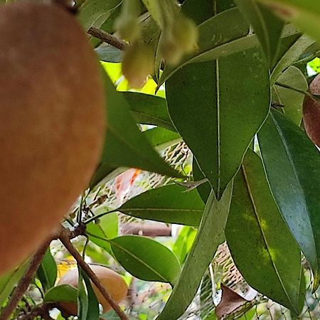 Vivaresidence Homestay Alappuzha Eksteriør billede